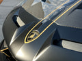 Lamborghini Aventador, S, SV, SVJ & Ultimae Bonnet Stripes